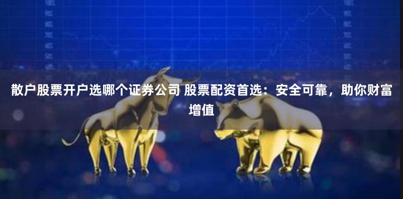 散户股票开户选哪个证券公司 股票配资首选：安全可靠，助你财富